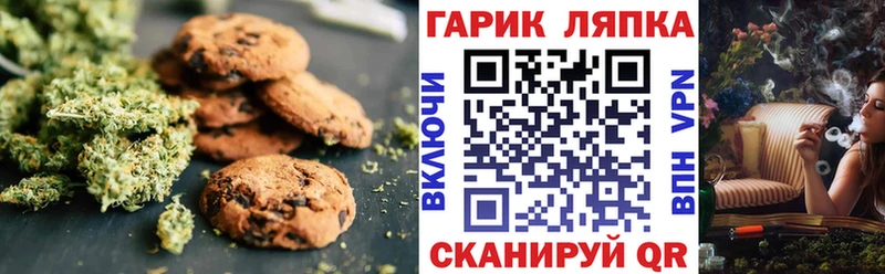 дарнет шоп  мега онион  Печенье с ТГК марихуана  Сургут 