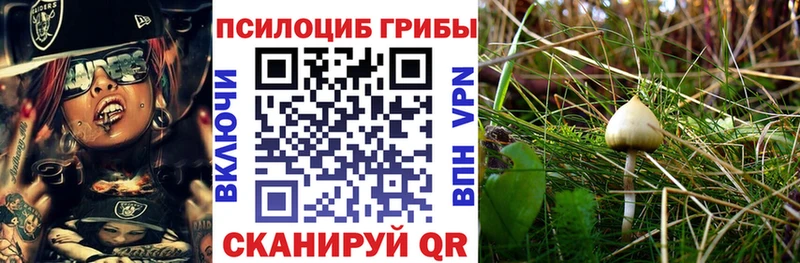 Галлюциногенные грибы мицелий  Сургут 