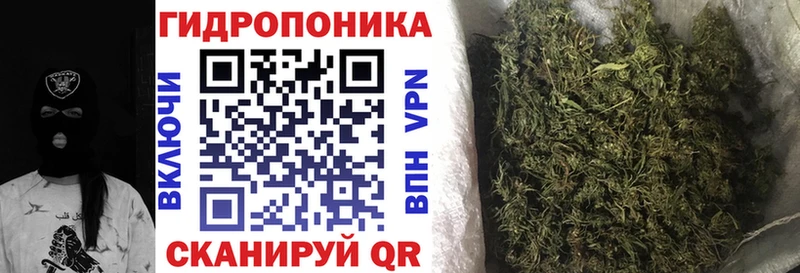 Бошки Шишки AK-47 сколько стоит Сургут